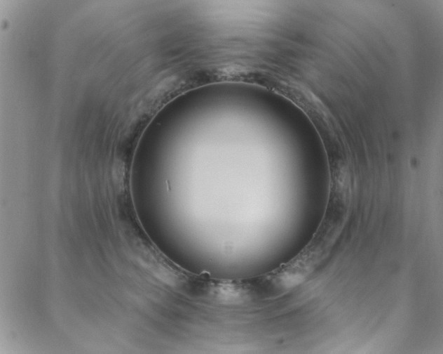 X0000088880565200706081244