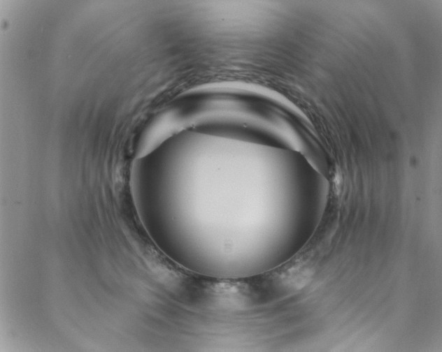 X0000088880566200706081244