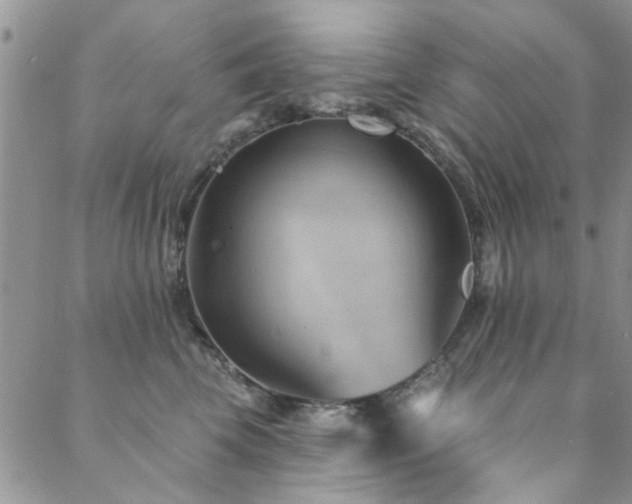 X0000088880569200706081244