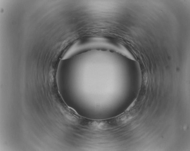 X0000088880570200706081244