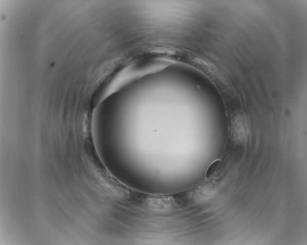 X0000088880571200706081244