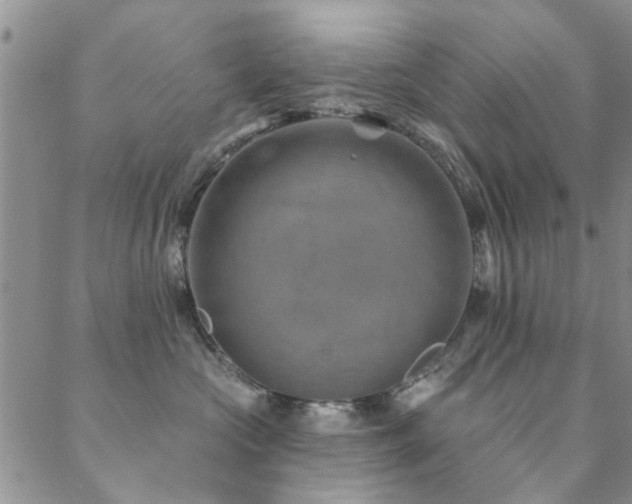 X0000088880573200706081244