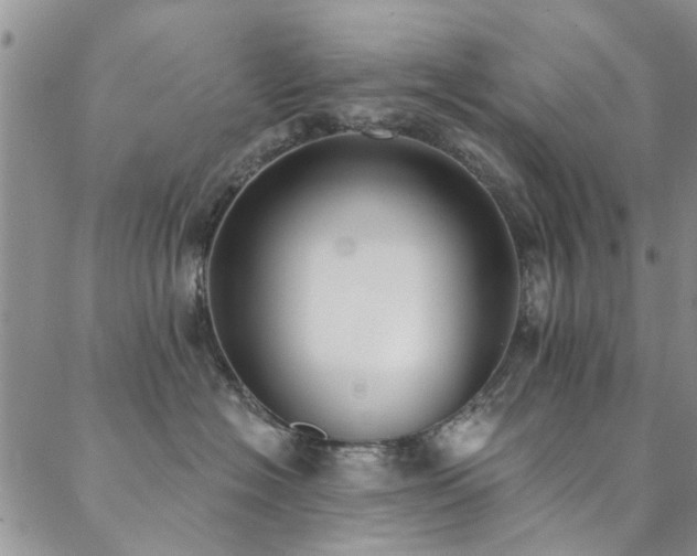 X0000088880574200706081244