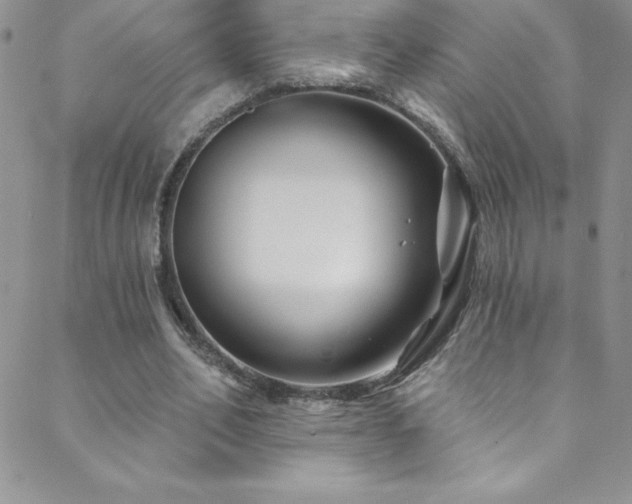 X0000088880582200706081243