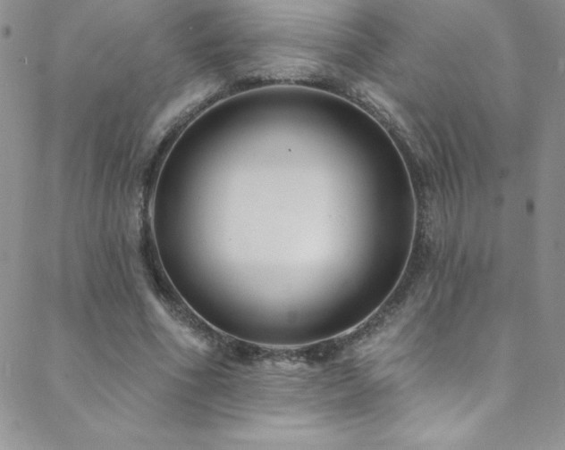X0000088880586200706081243