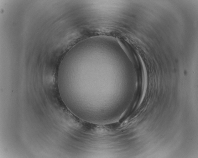 X0000088880608200706081243