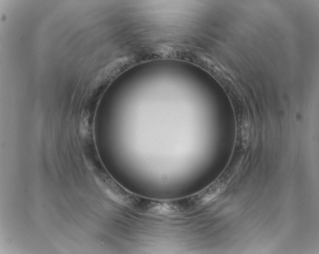 X0000088880611200706081243