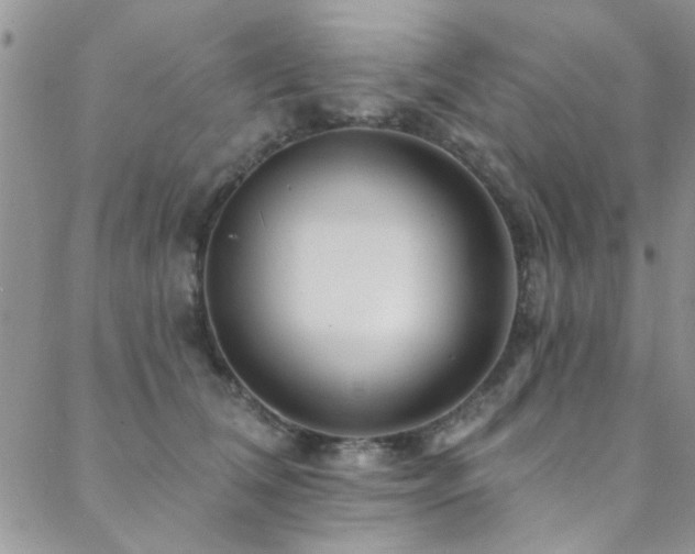 X0000088880612200706081243