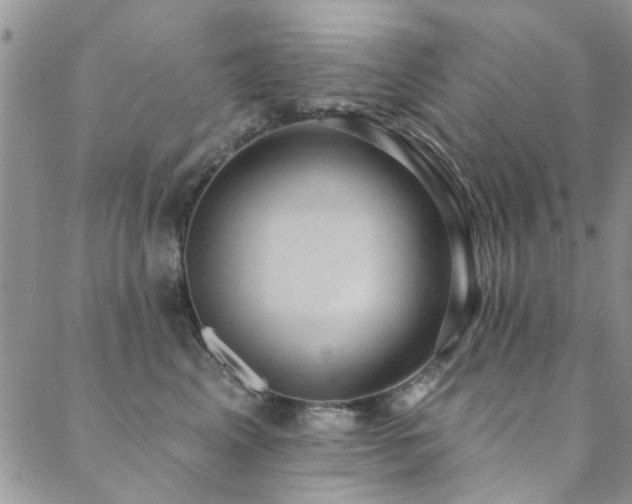 X0000088880617200706081242