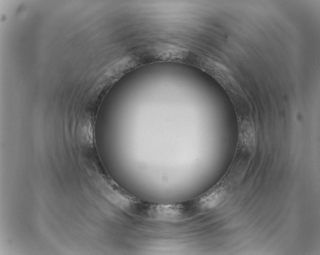 X0000088880622200706081242