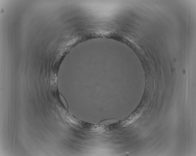 X0000088880624200706081242