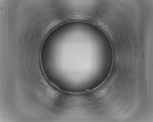 X0000088880625200706081242