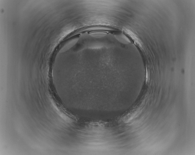 X0000088880627200706081242