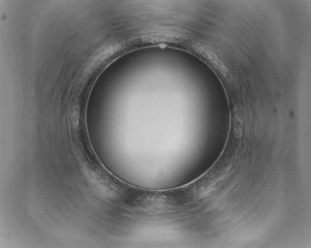 X0000088880631200706081242