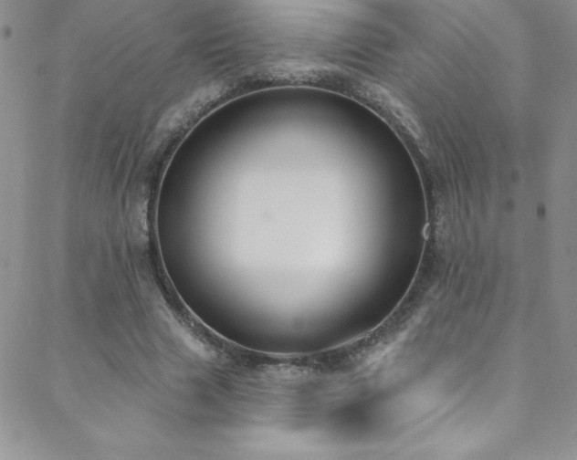 X0000088880633200706081242