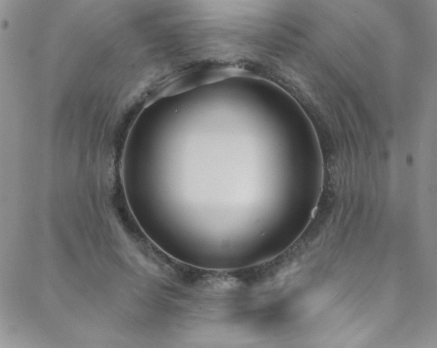 X0000088880642200706081242