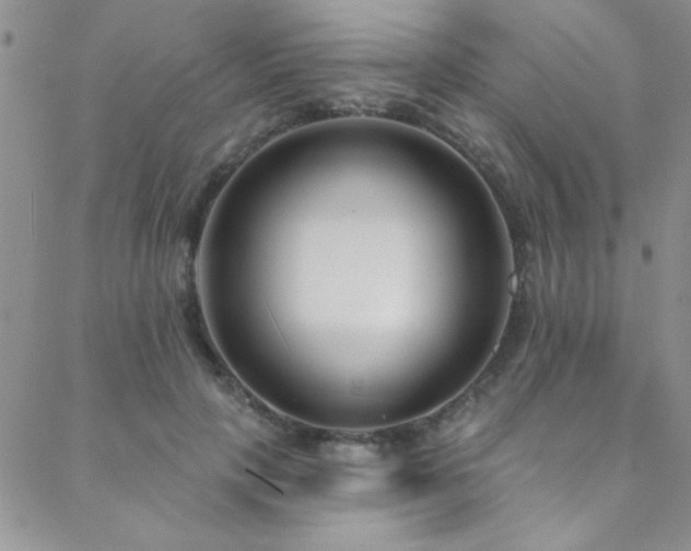 X0000088880649200706081242