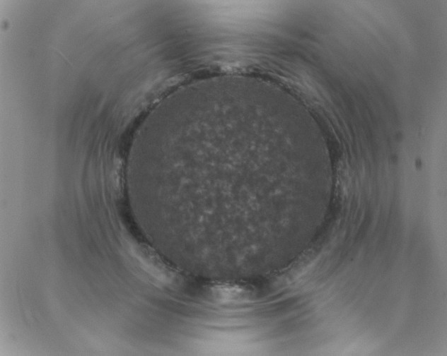 X0000088880650200706081242
