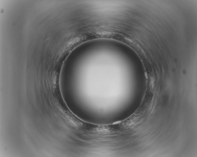 X0000088880668200706081242