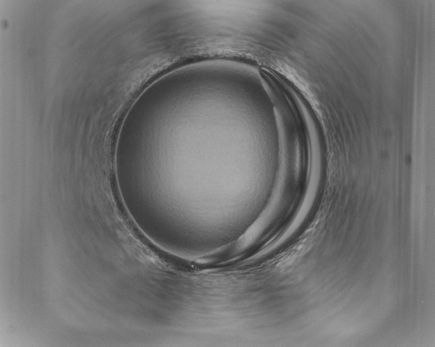 X0000088880673200706081242