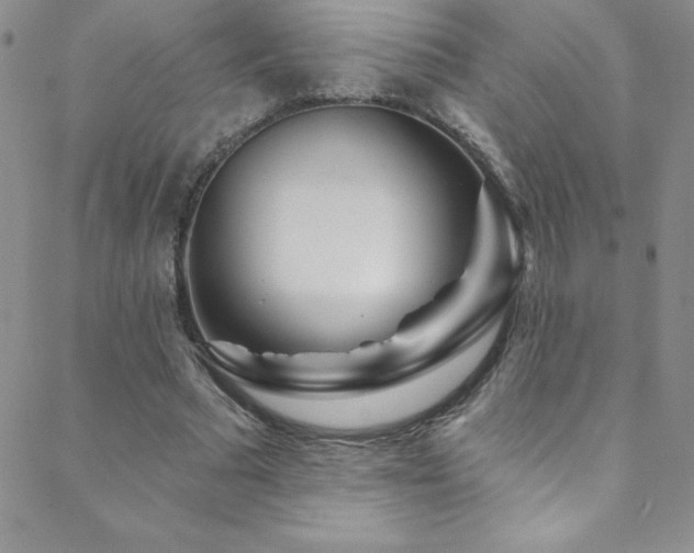 X0000088880681200706081241