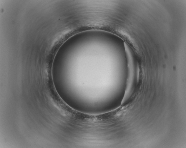 X0000088880688200706081241