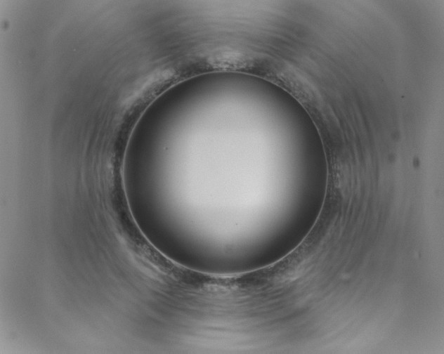 X0000088880690200706081241