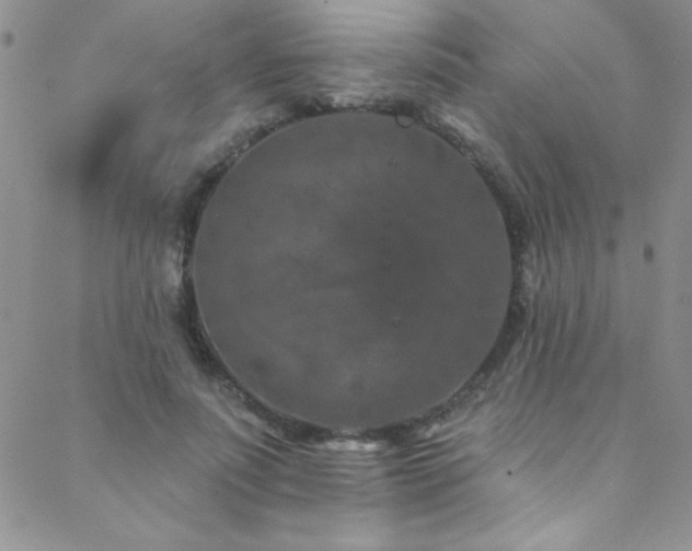 X0000088880691200706081241