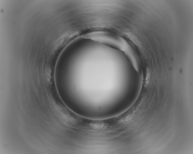 X0000088880693200706081241