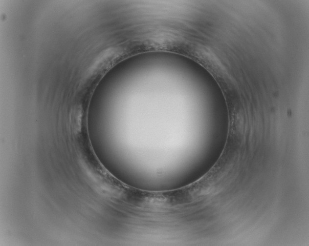 X0000088880694200706081241