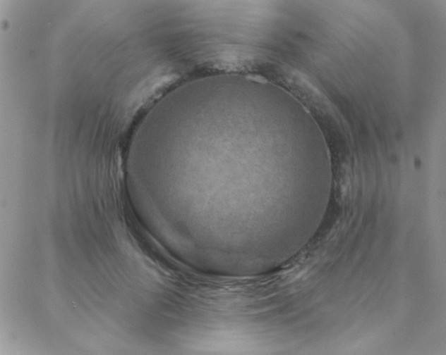 X0000088880696200706081241