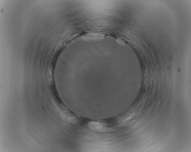 X0000088880699200706081241