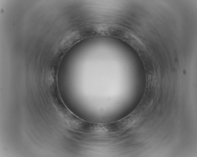 X0000088880702200706081241