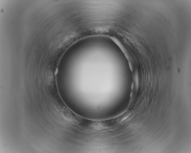 X0000088880704200706081241