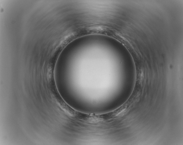 X0000088880708200706081241
