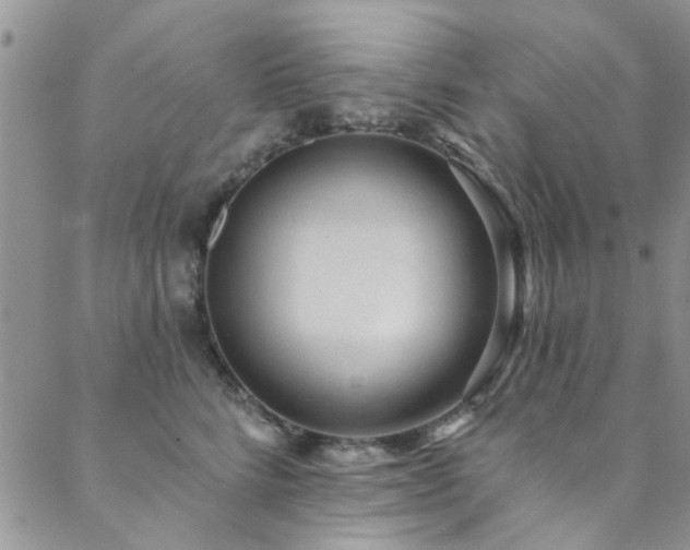 X0000088880712200706081241