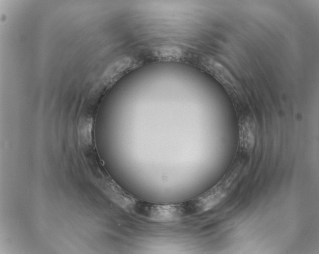 X0000088880717200706081241