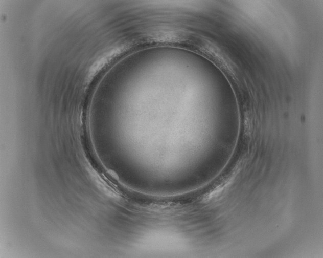 X0000088880725200706081240