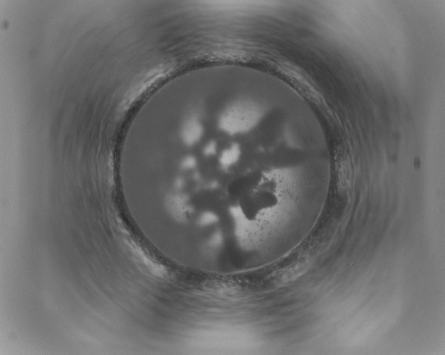 X0000088880729200706081240