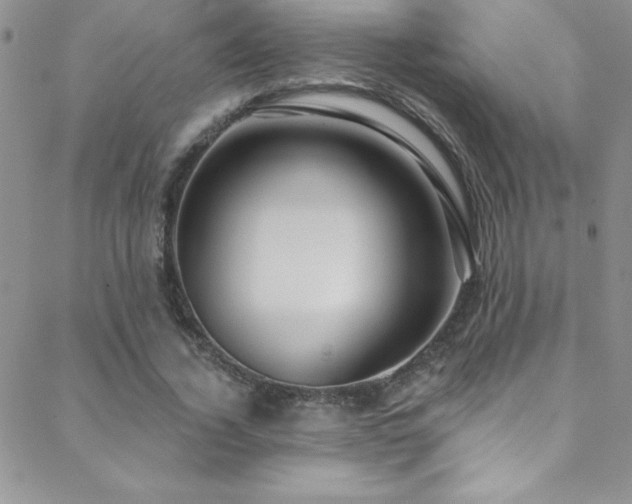 X0000088880732200706081240