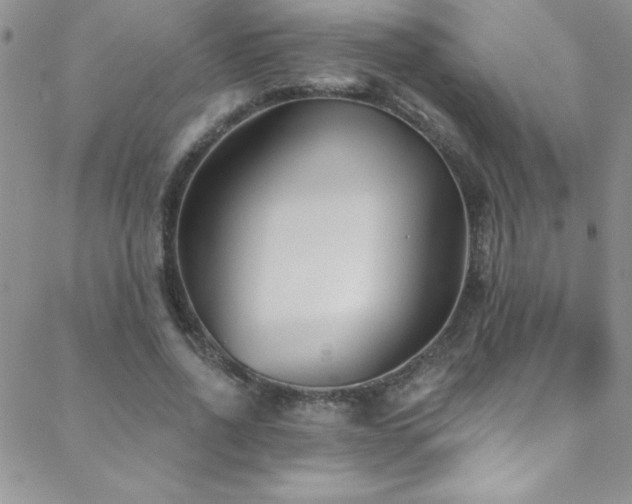 X0000088880734200706081240