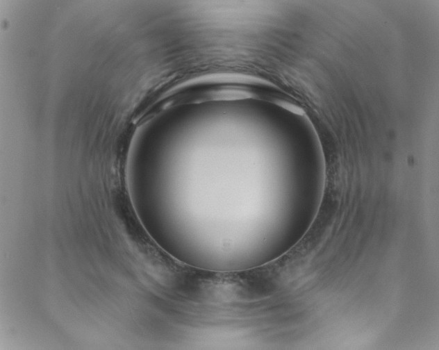 X0000088880743200706081240