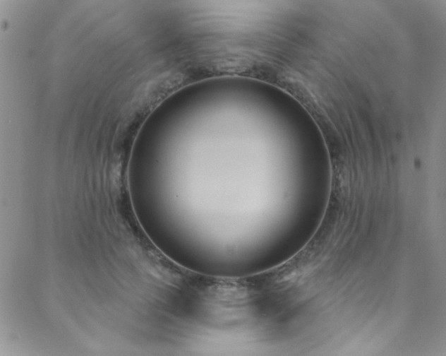 X0000088880745200706081240