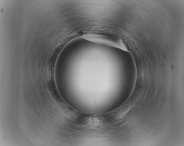 X0000088880751200706081241