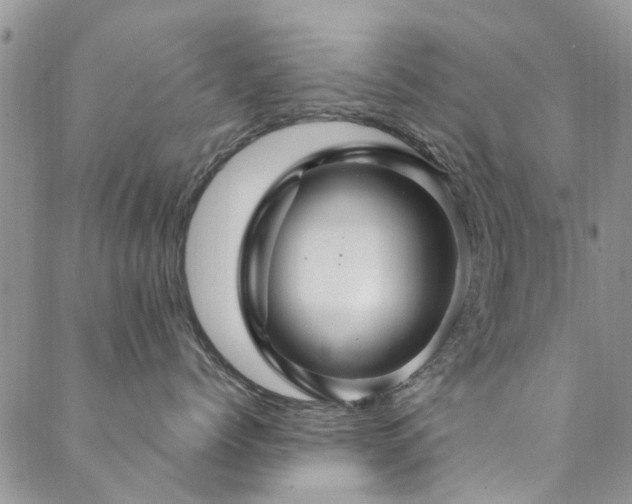 X0000088880768200706081241