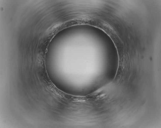 X0000088880773200706081240