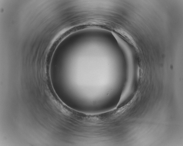 X0000088880784200706081240
