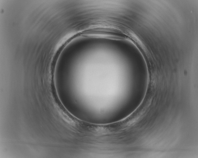 X0000088880787200706081239