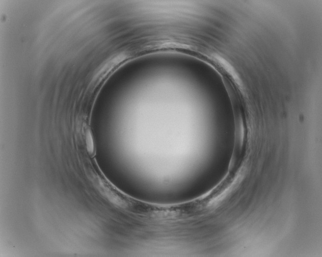 X0000088880793200706081239