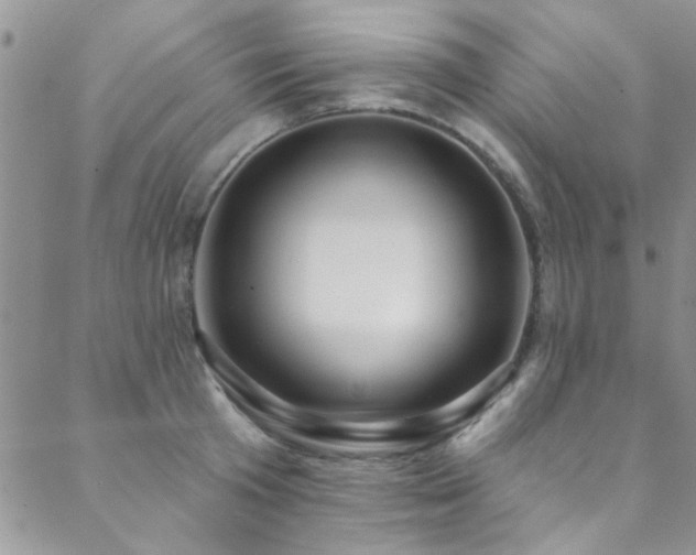 X0000088880801200706081239
